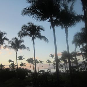 Meet your Posher, Dee